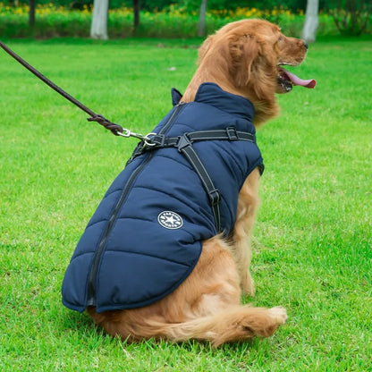 Vattentät Vinterjacka till Hund med Integrerad Sele – Varm, Bekväm och Justerbar