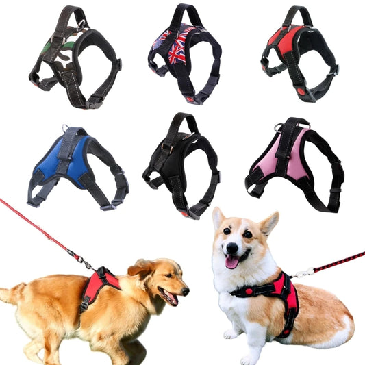 Justerbar Hundsele i Västmodell – Reflex, Vaddering & Snabbspänne för Alla Storlekar