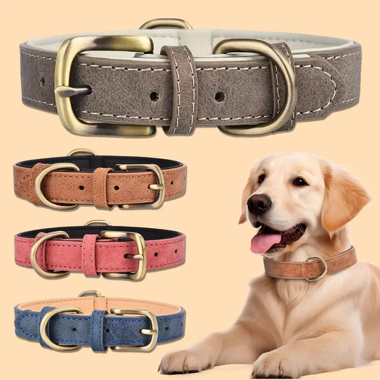 Hundhalsband i Vintagestil – Stilfullt och Tidlöst för Din Hund