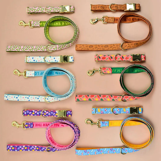 Lyxigt, Färgstarkt Halsband och Koppelset för Små till Stora Hundar – Justerbart, Snabbt att ta På