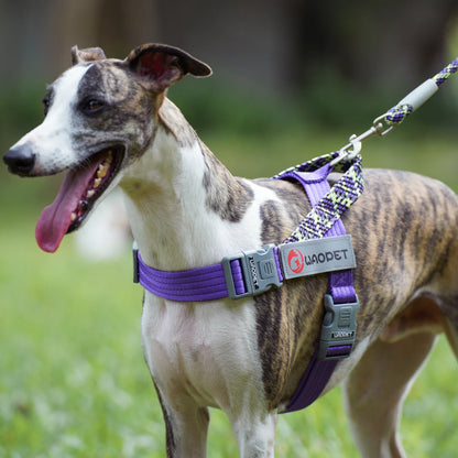 Reflekterande Hundsele i Slitstark Nylon – Jämnt Fördelat Tryck över Bröstet
