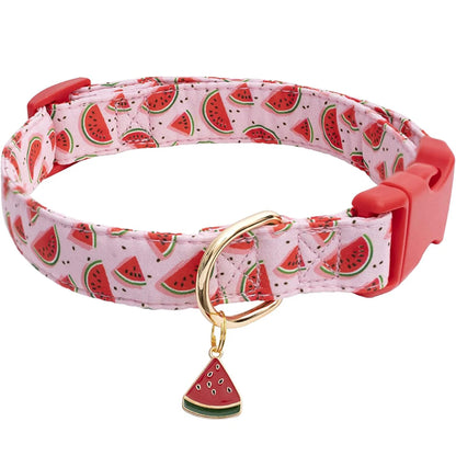 Lekfullt Halsband med Fruktmotiv – För Hundar och Katter