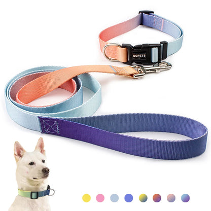 Färgglatt Hundkoppel & Halsband – Justerbart Nylonsset