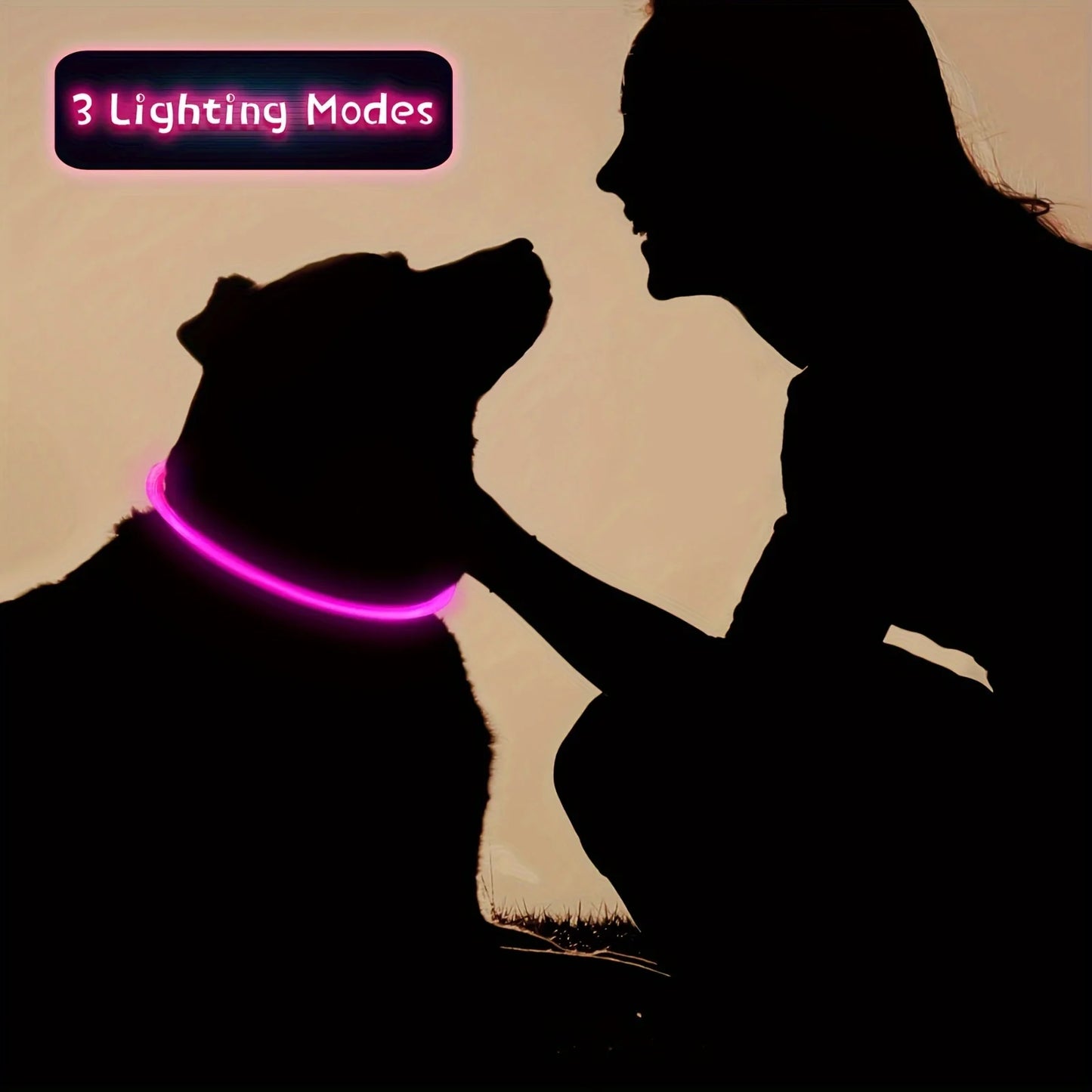 LED Hundhalsband med USB-laddning – Synlighet & Säkerhet i Mörker