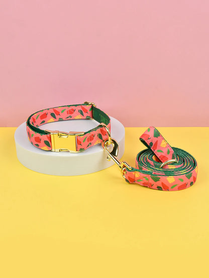 Lyxigt, Färgstarkt Halsband och Koppelset för Små till Stora Hundar – Justerbart, Snabbt att ta På