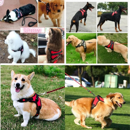 Justerbar Hundsele i Västmodell – Reflex, Vaddering & Snabbspänne för Alla Storlekar