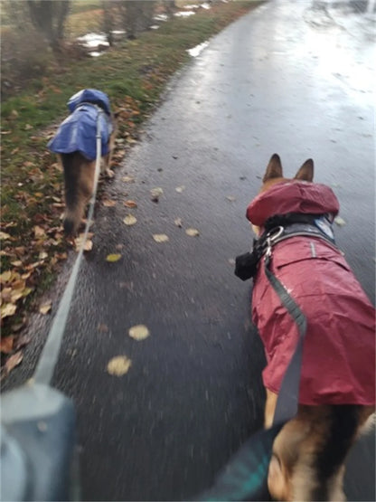 Vattentät Regnjacka för Hund – Reflextäckt Cape för Säkra Promenader i Regn