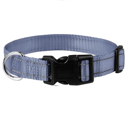Hållbart Hundhalsband med Spänne – Justerbart och Stilrent för Valpar och Vuxna Hundar i Alla Storlekar