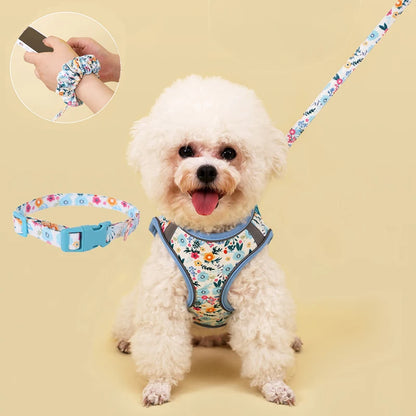 Reflexsele, Halsband och Handsfree-koppel för Hund eller Katt – Justerbar, Bekväm och Säker