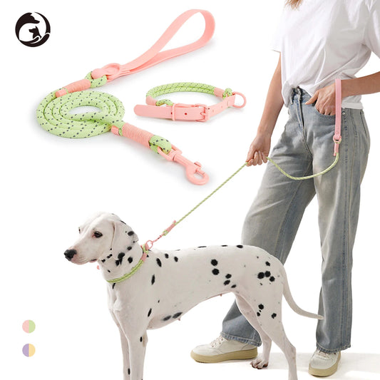 Populärt Justerbart Halsbands- och Koppelset i Reflekterande Nylon – Hundpromenad i Somrig Design