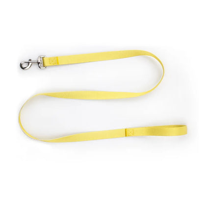Färgglatt Hundkoppel & Halsband – Justerbart Nylonsset