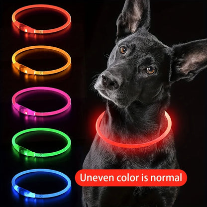 LED Hundhalsband med USB-laddning – Synlighet & Säkerhet i Mörker