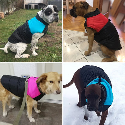 Varm och Vattentät Vinterjacka för Hund med Tjockt Fleecefoder