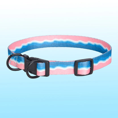 Justerbart Hundhalsband med Stil – Bekvämt för Daglig Användning