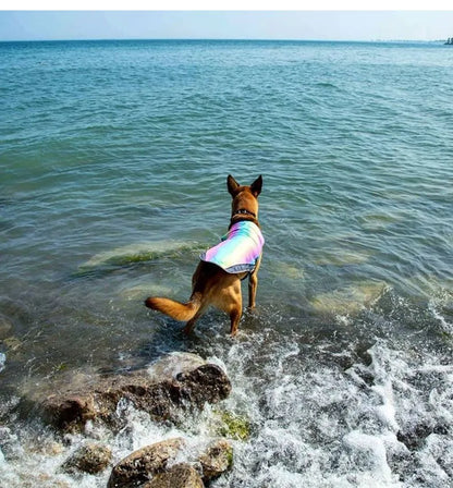 Sommarväst med Snabb Kyla för Hund – Regnbågsfärgad Andningsbar Väst