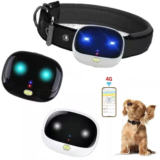4g GPS-Spårare för Hund och Katt – Vattentät med LED-Ljus & Realtidsspårning