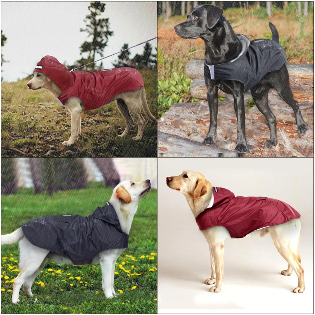 Vattentät Regnjacka för Hund – Reflextäckt Cape för Säkra Promenader i Regn