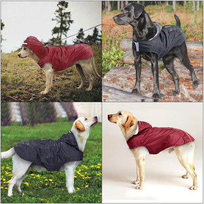 Vattentät Regnjacka för Hund – Reflextäckt Cape för Säkra Promenader i Regn