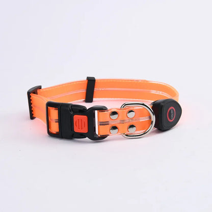 Reflekterande & Blinkande LED-Halsband med Koppel – för Säkra Kvällspromenader