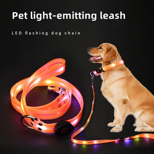 Reflekterande & Blinkande LED-Halsband med Koppel – för Säkra Kvällspromenader