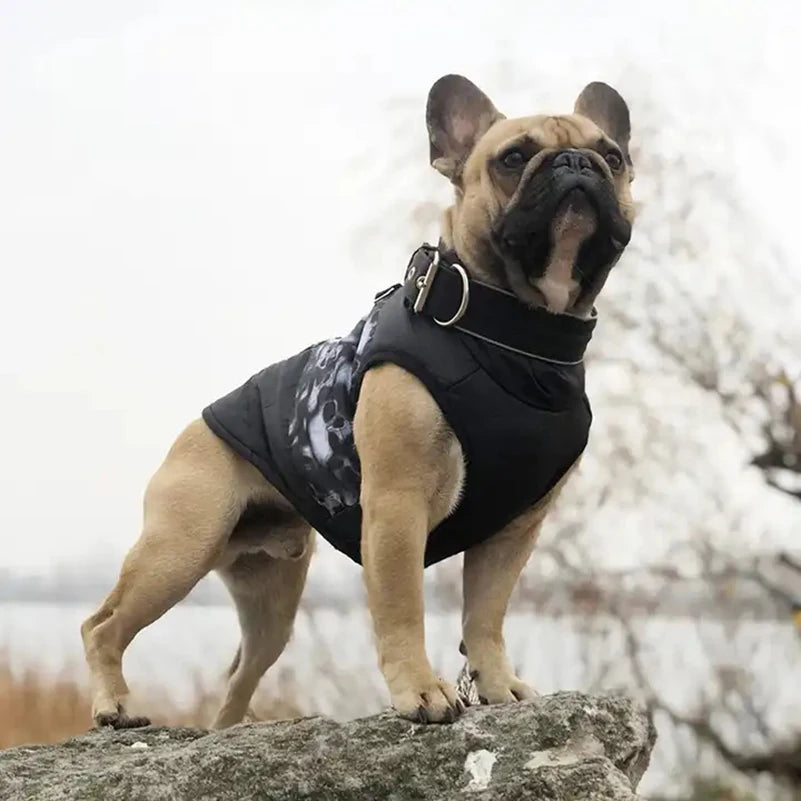Vattentät &amp; Vindtät Vinterjacka för Hund – Vadderad med D-Ring för Kalla Promenader