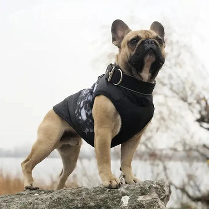 Vattentät &amp; Vindtät Vinterjacka för Hund – Vadderad med D-Ring för Kalla Promenader
