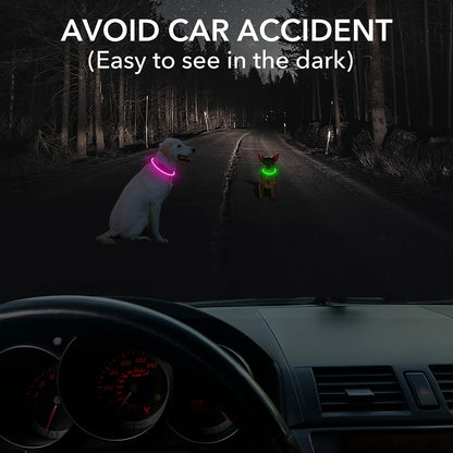 LED Hundhalsband med USB-laddning – Synlighet & Säkerhet i Mörker