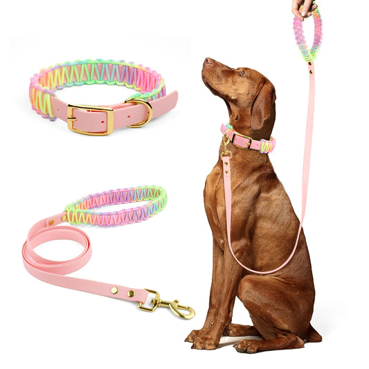 Justerbart Hundhalsband och Koppelset i PVC och Flätad Nylon – Färgglatt och Slitstarkt