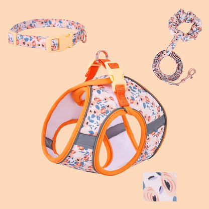 Reflexsele, Halsband och Handsfree-koppel för Hund eller Katt – Justerbar, Bekväm och Säker