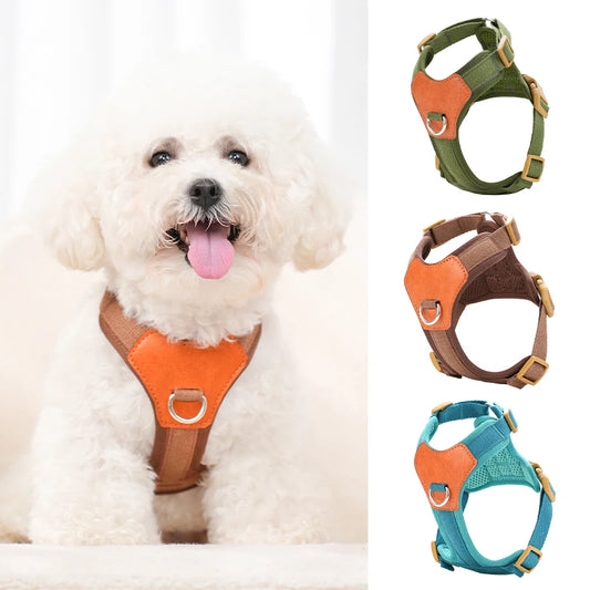Retro Hundsele i Konstläder – Stilren och Bekväm för Dagliga Promenader