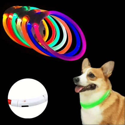 LED Hundhalsband med USB-laddning – Synlighet & Säkerhet i Mörker