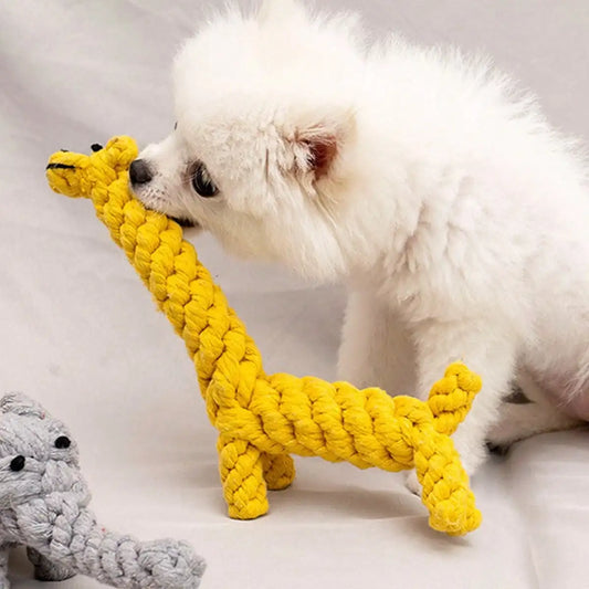 Hund tuggar på slitstark hundleksak i rep – perfekt för lek och tandvård