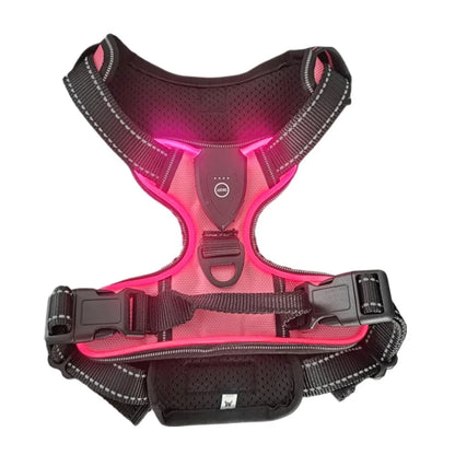 innovativ led-sele för hund med reflekterande sömmar och tre ljuslägen