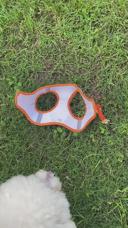 Reflexsele, Halsband och Handsfree-koppel för Hund eller Katt – Justerbar, Bekväm och Säker