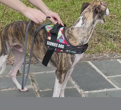 Anti-Drag Hundsele med Reflexer – Komfort, Kontroll och Säkerhet Året Runt