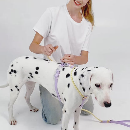 Populärt Justerbart Halsbands- och Koppelset i Reflekterande Nylon – Hundpromenad i Somrig Design