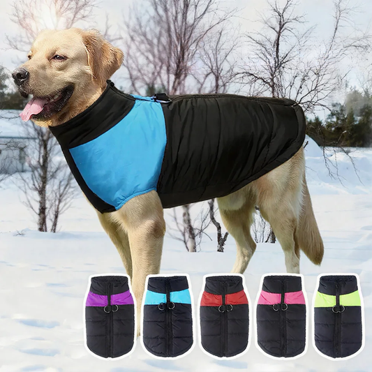 Varm och Vattentät Vinterjacka för Hund med Tjockt Fleecefoder