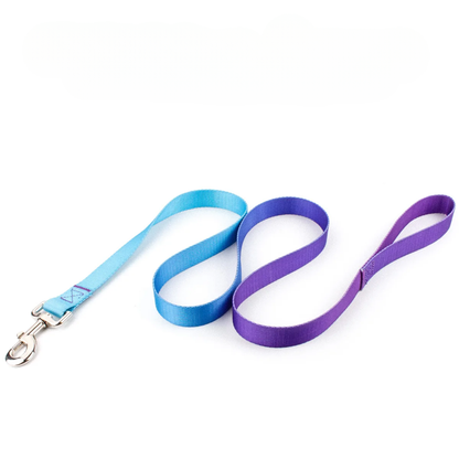 Färgglatt Hundkoppel & Halsband – Justerbart Nylonsset