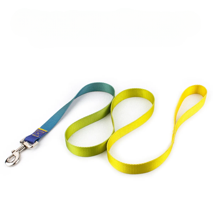 Färgglatt Hundkoppel & Halsband – Justerbart Nylonsset
