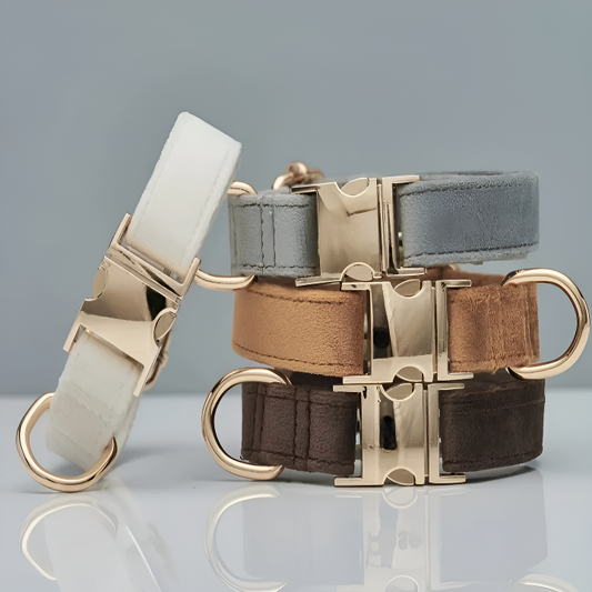 Elegant Sammetshalsband med Matchande Koppel – Stilfullt Set i Mjuka Färger
