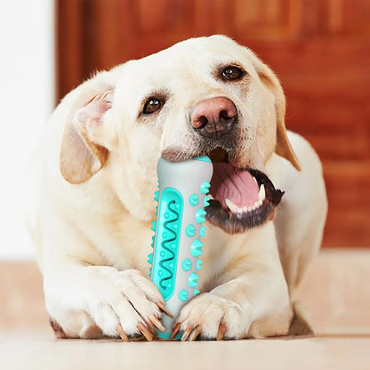 interaktiv tandborstleksak för hund med tandvård och godisfunktion